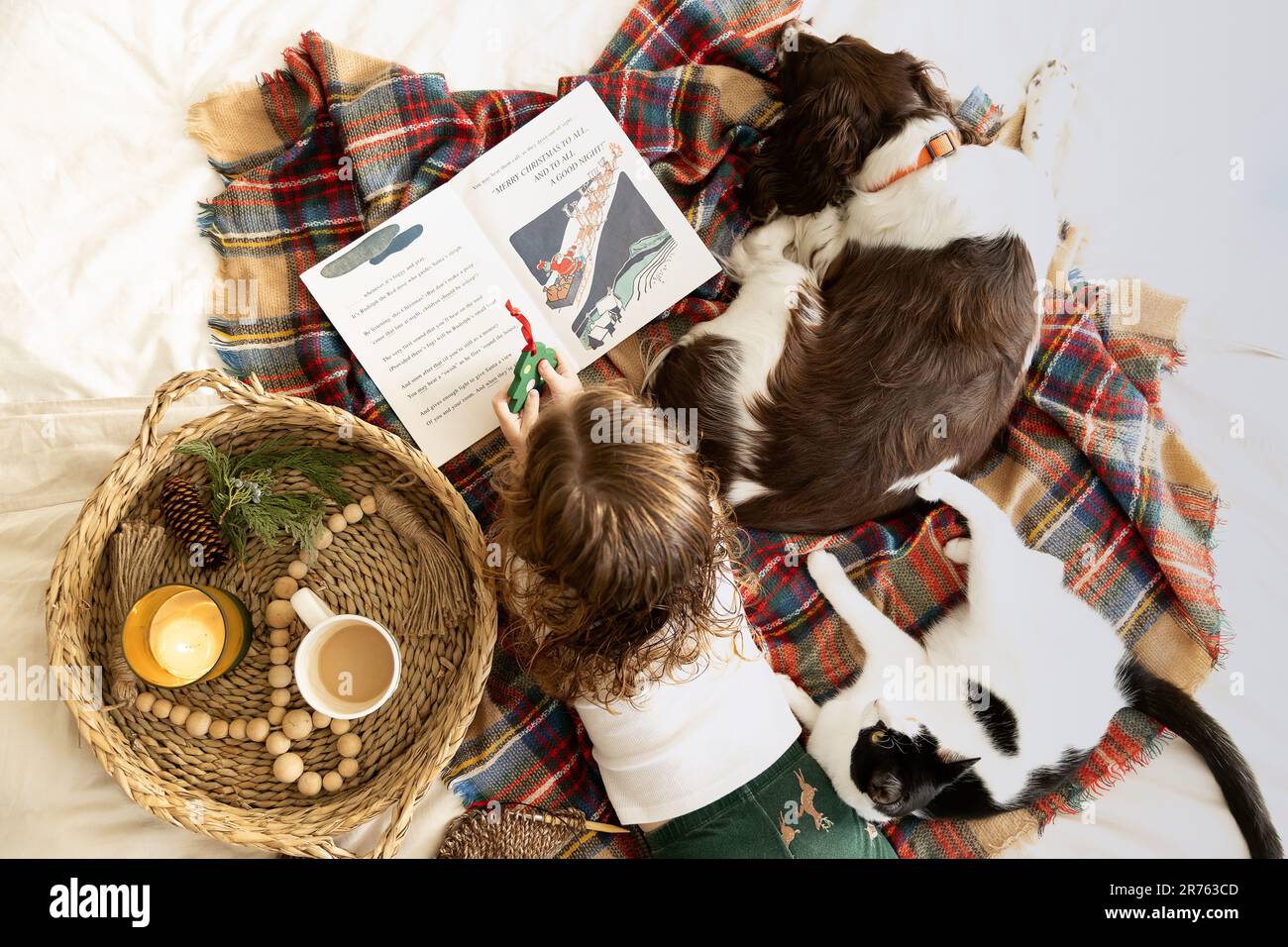 A bird's eye view of a young girl laying on her stomach and reading with her pet dog and cat Stock Photo
