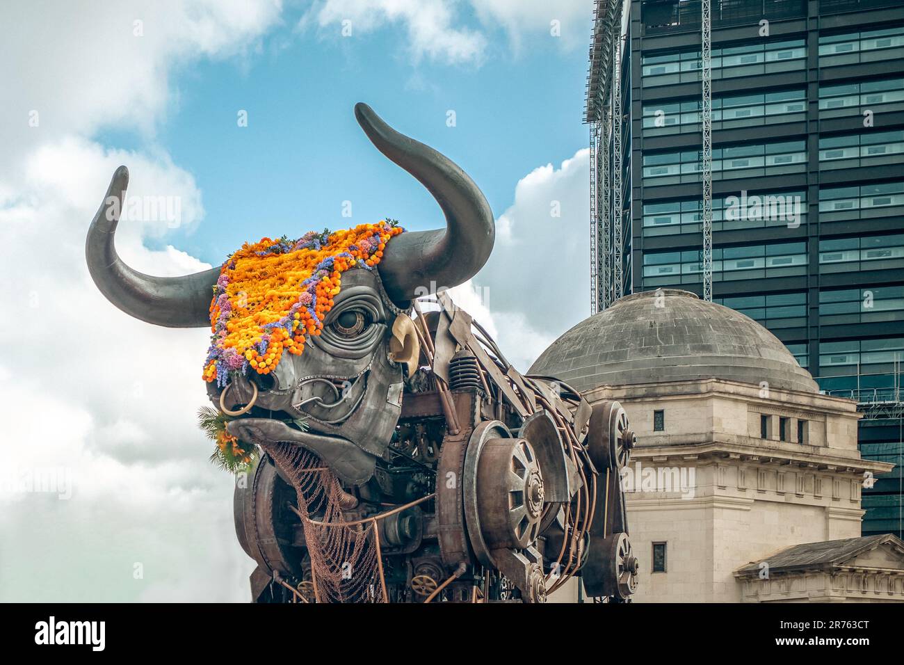 The iconic giant metal bull that was first seen at the Birmingham Commonwealth games has its head covered with flowers during the Polinations event. Stock Photo