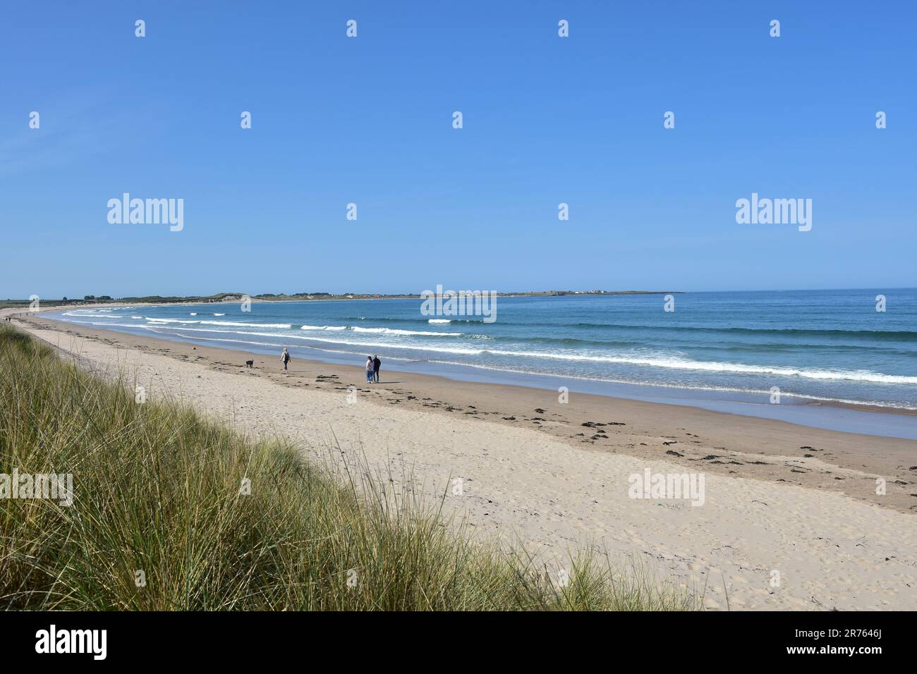 Beadnell Bay, seen from High Newton by the sea, Northumberland Stock Photo