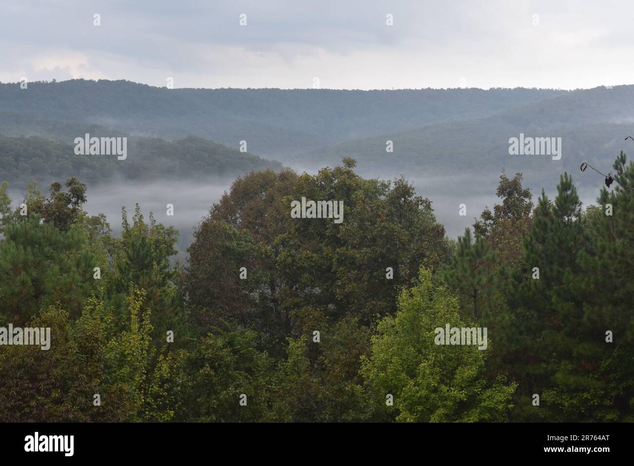 View from a cabin porch, watching the mist rising from the valleys and