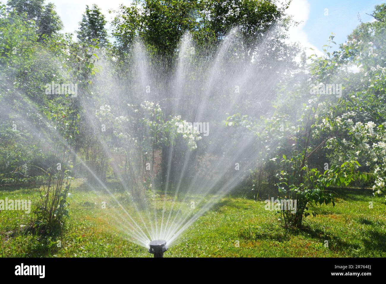 Potsdam, Germany. 13th June, 2023. A sprinkler system sprays water on ...