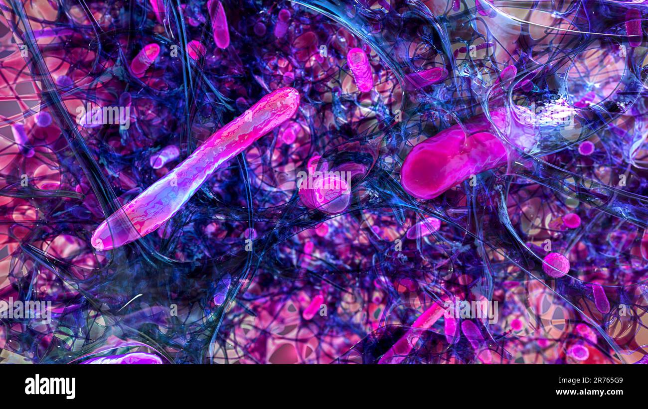 Spherical bacteria and rodshaped bacteria inside biofilm, illustration