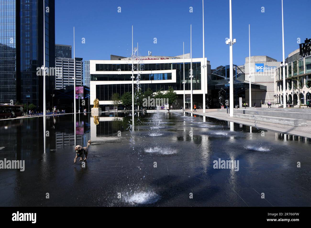 cooling down in the fountain in Birmingham, UK Stock Photo