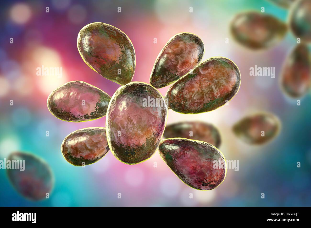 Fungi Paracoccidioides braziliensis, a dimorphic fungus, one of the ...