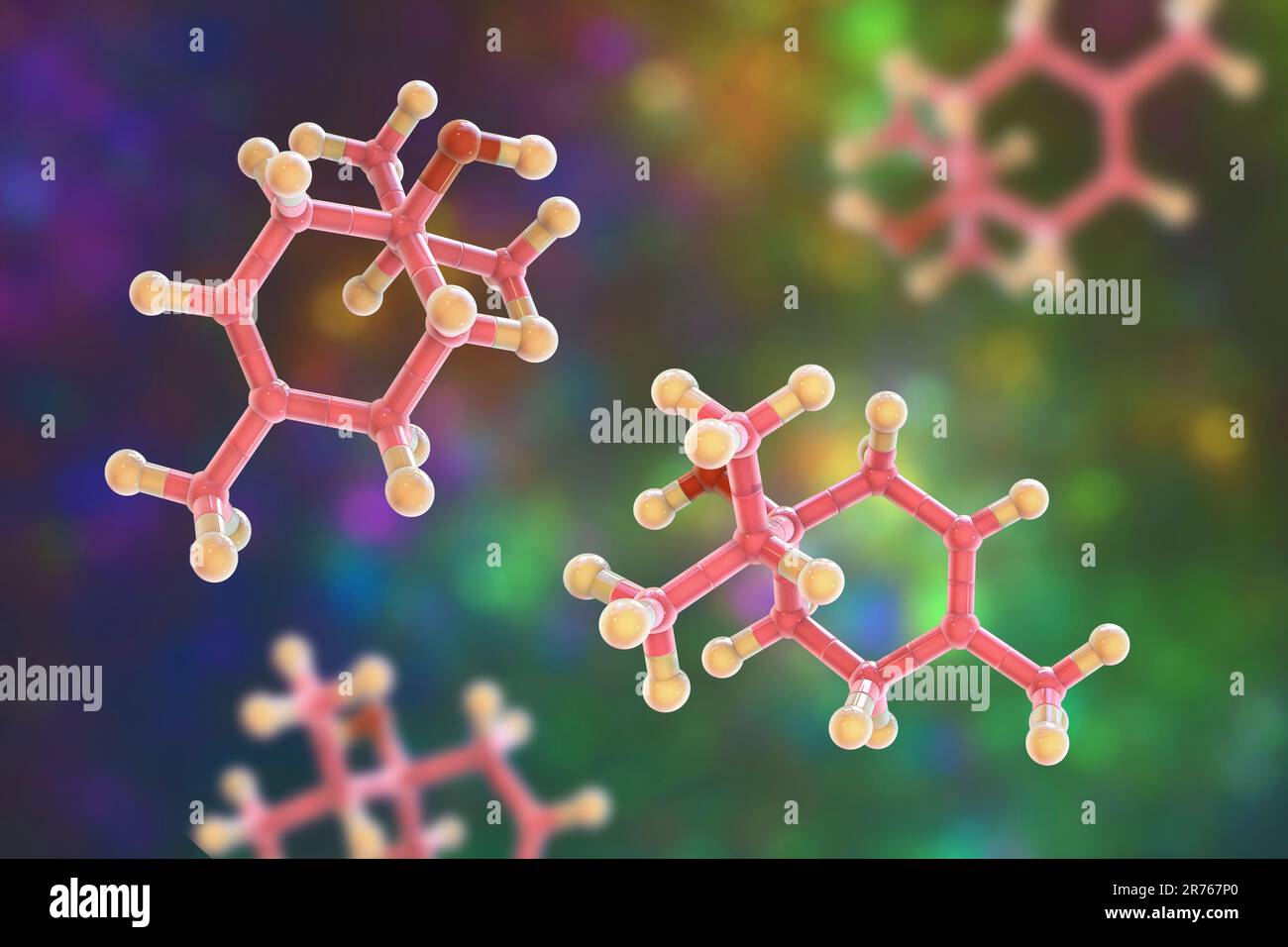 Melaleuca alternifolia illustration hi-res stock photography and images ...