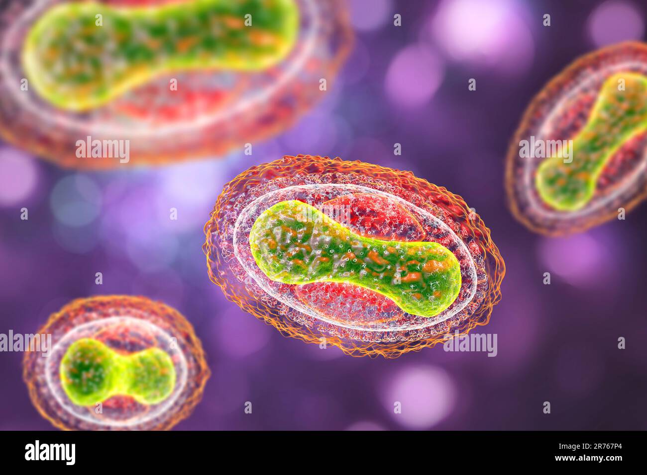 Smallpox virus. Illustration of a smallpox (variola) virus. A membrane