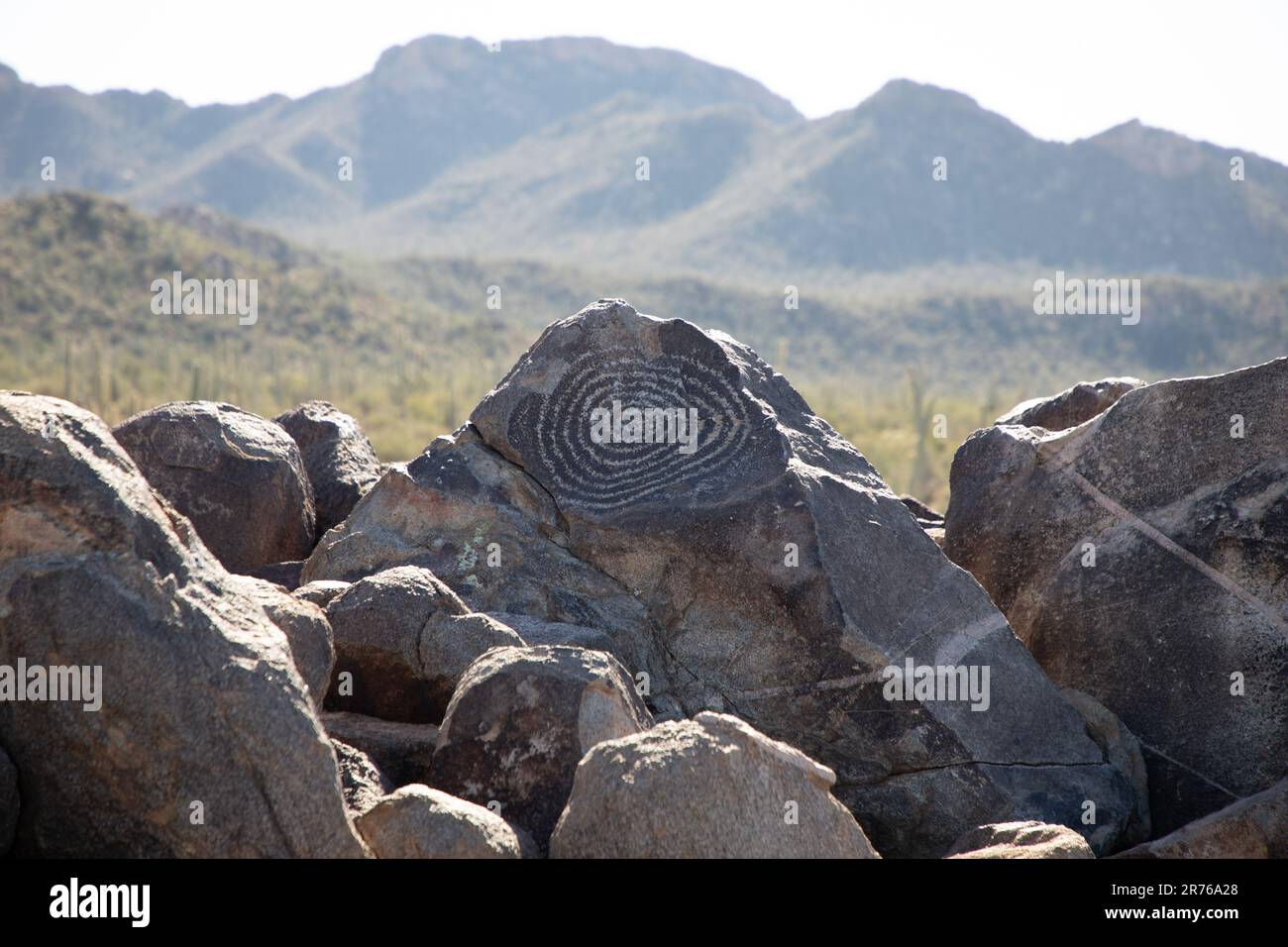 800 year old petroglyph located at the Signal Hill Petroglyph Site in the Tucson Mountain District of Saguaro National Park near Tucson, Arizona. Stock Photo
