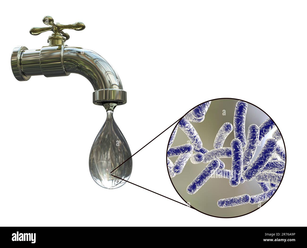 Bacteria In Drinking Water