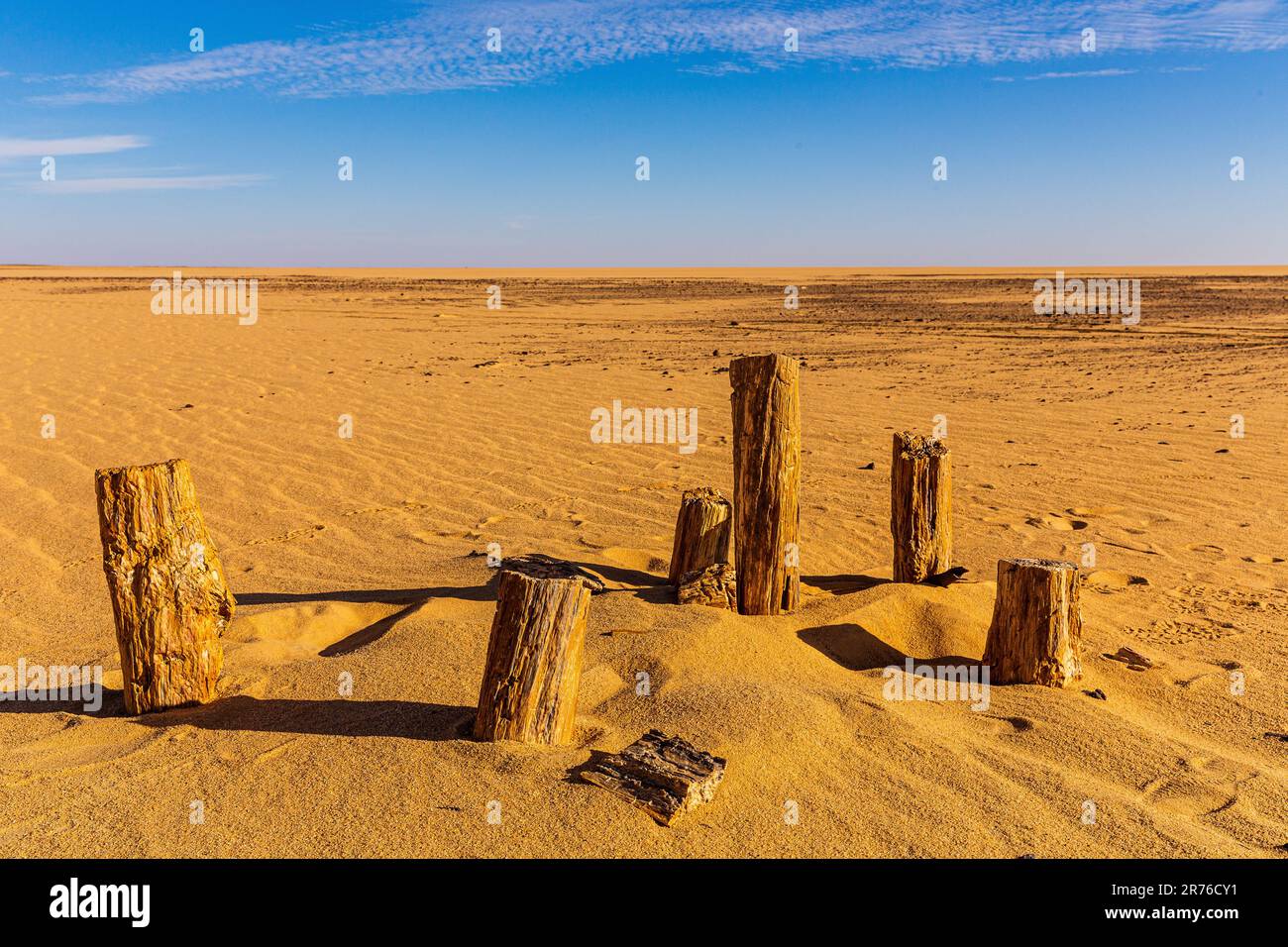artificial arrangement of sections of petrified tree trunks standing in a circle in the desert of sudan Stock Photo