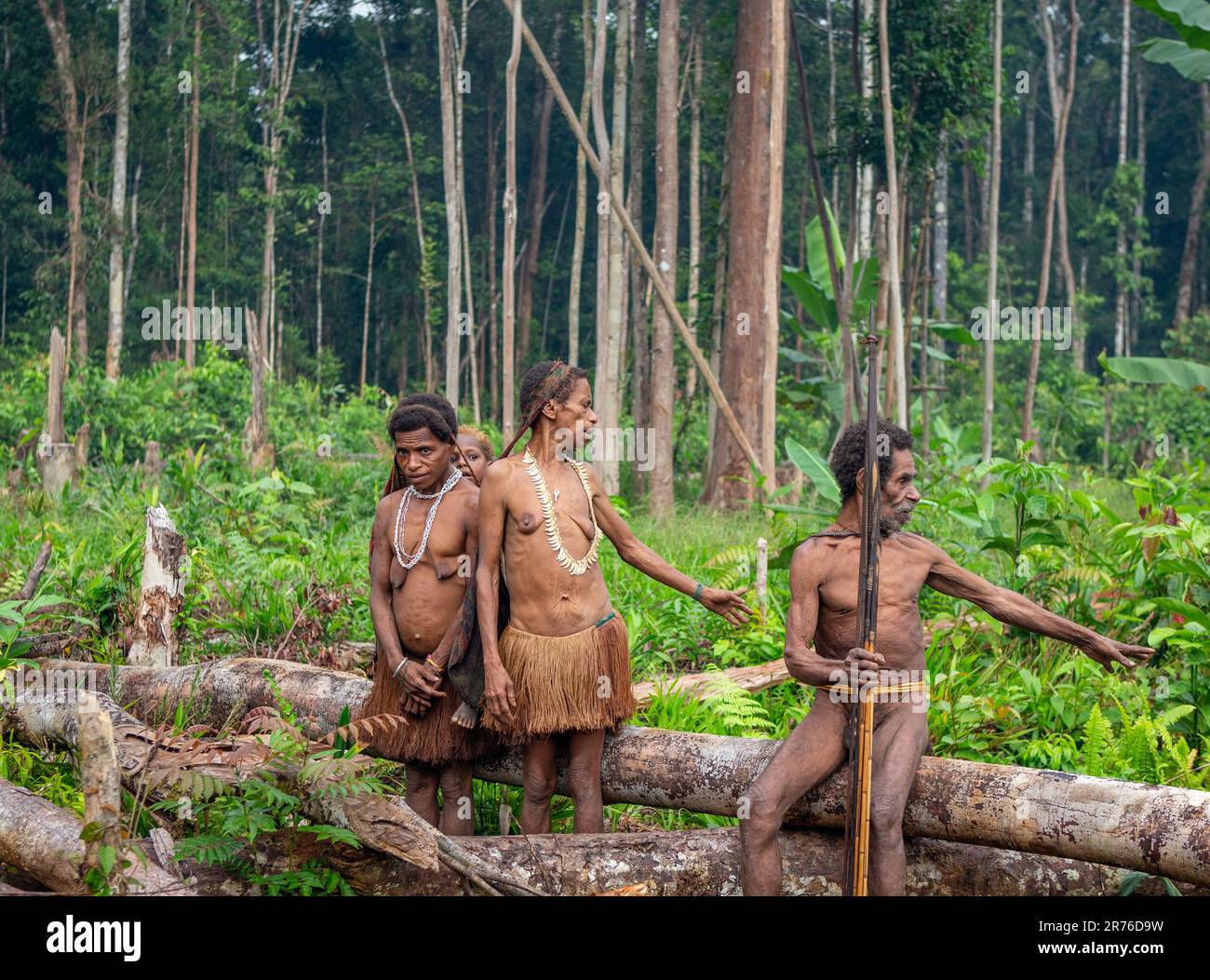 Korowai tribe family in the jungle. Tribe of Korowai (Kombai , Kolufo