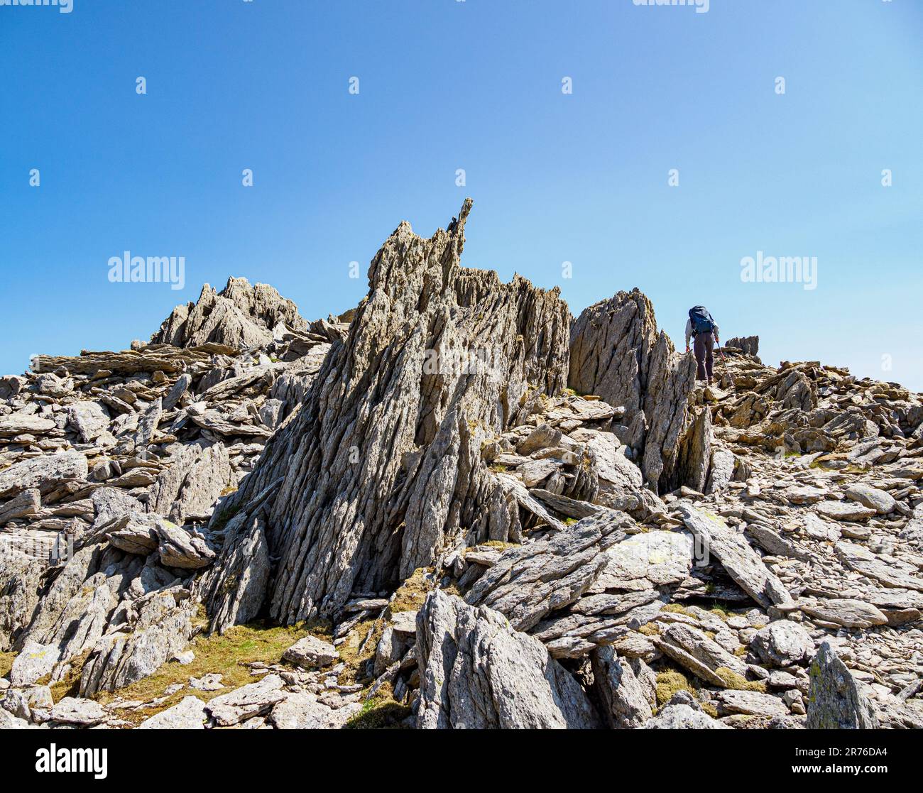 Walker ascending  the jagged summit of Glyder Fawr in the Eryri Snowdonia National Park in North Wales UK Stock Photo