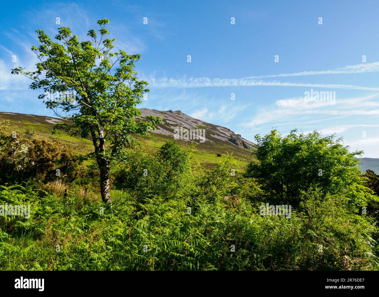 Yr Eifl and the Iron Age hill fort of Tre'r Ceiri on the Lleyn peninsula in North Wales UK Stock Photo