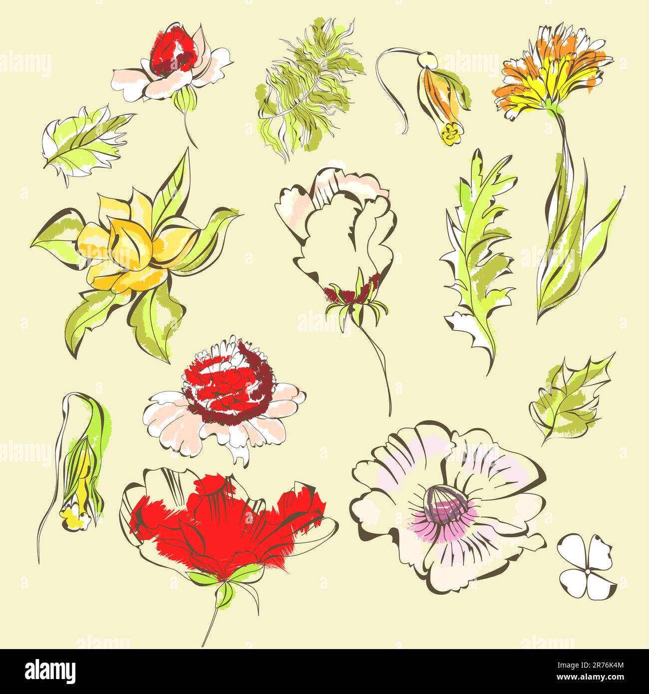 Set of flowers Stock Vector Image & Art - Alamy