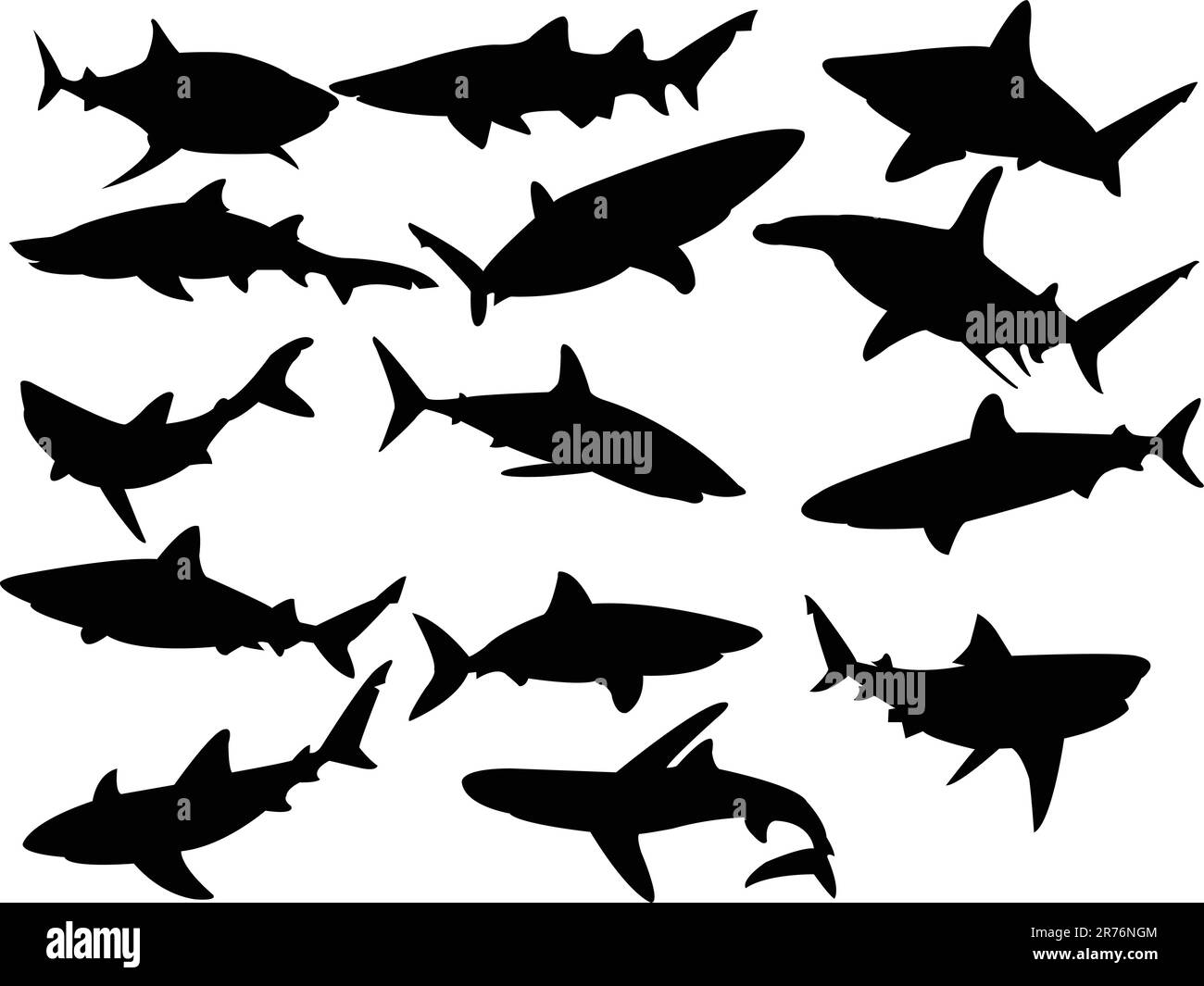 collection of sharks silhouette - vector Stock Vector Image & Art - Alamy