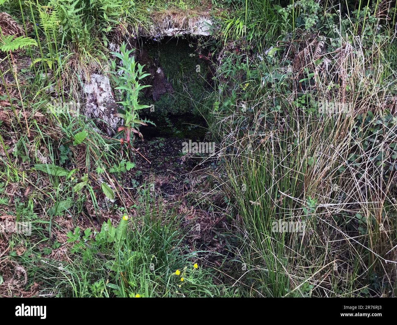 St Tudno's ((Bwrdeistref Sirol) holy well sacred spring on Great Orme, Llandudno, Wales dedicated to 6th century Tudno, founder of the original church Stock Photo