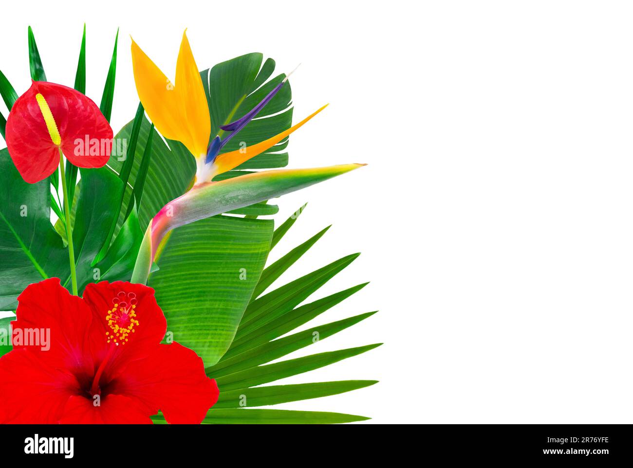 Bouquet with colorful tropical leaves and flowers Stock Photo - Alamy