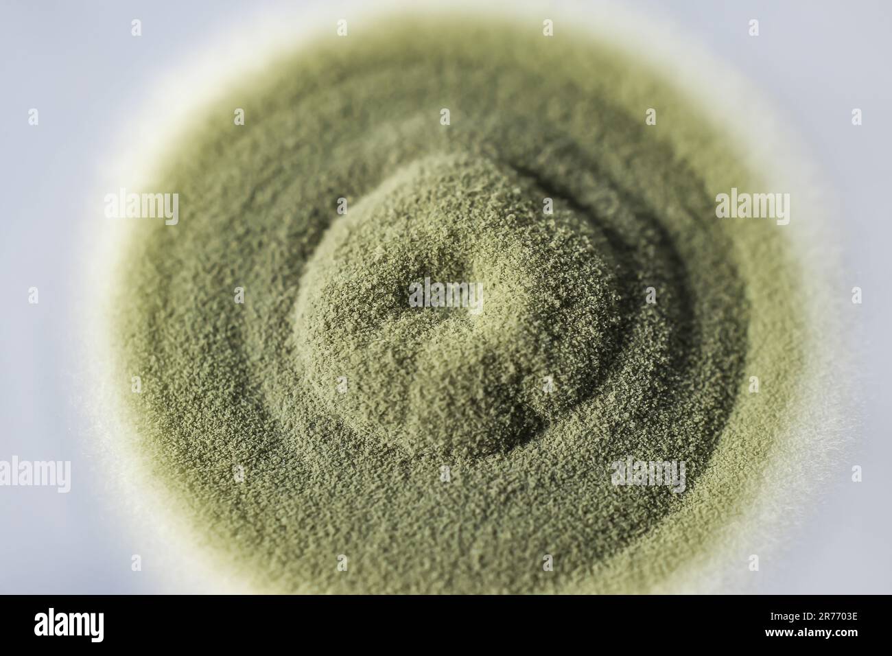 Colony of a mold fungus cultivated from indoor air on Sabourad dextrose agar. Stock Photo