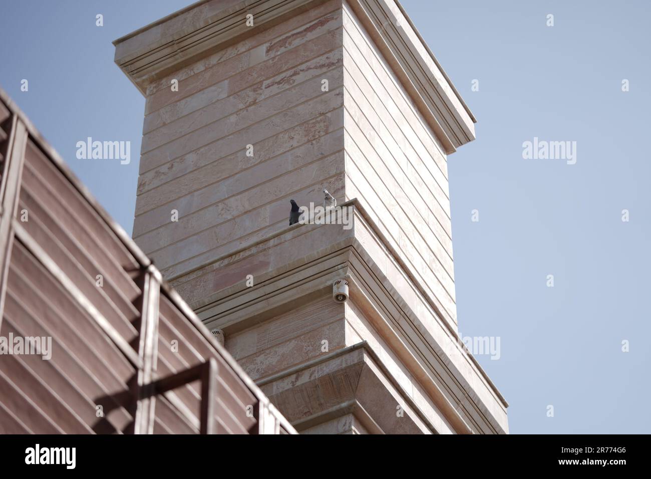 Two pigeons are standing above a house in Saudi Arabia, middle east. Stock Photo