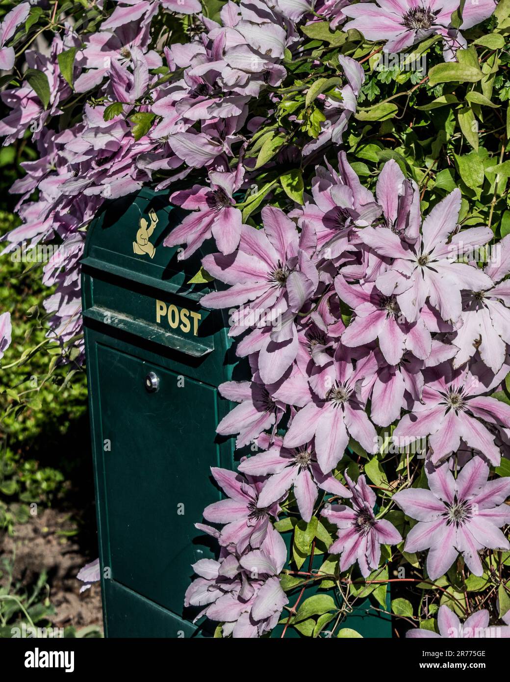 An outdoor post box adorned with vibrant florals and lush greenery in the background Stock Photo