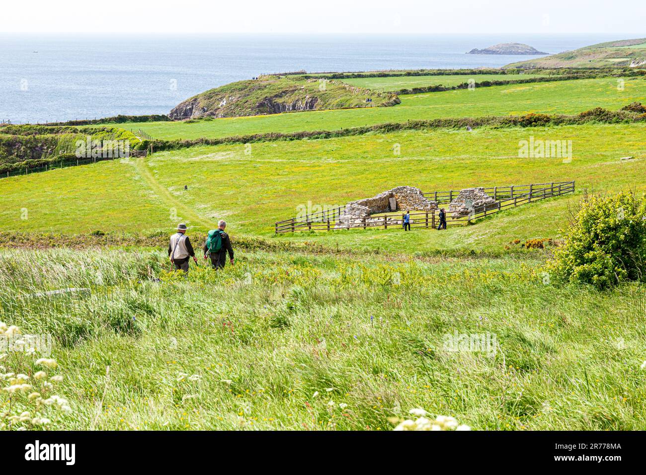 Walkers on Pembrokeshire Coast Path National Trail at St Non's Chapel, St Non's Bay, St David's peninsula in the Pembrokeshire Coast National Park Stock Photo