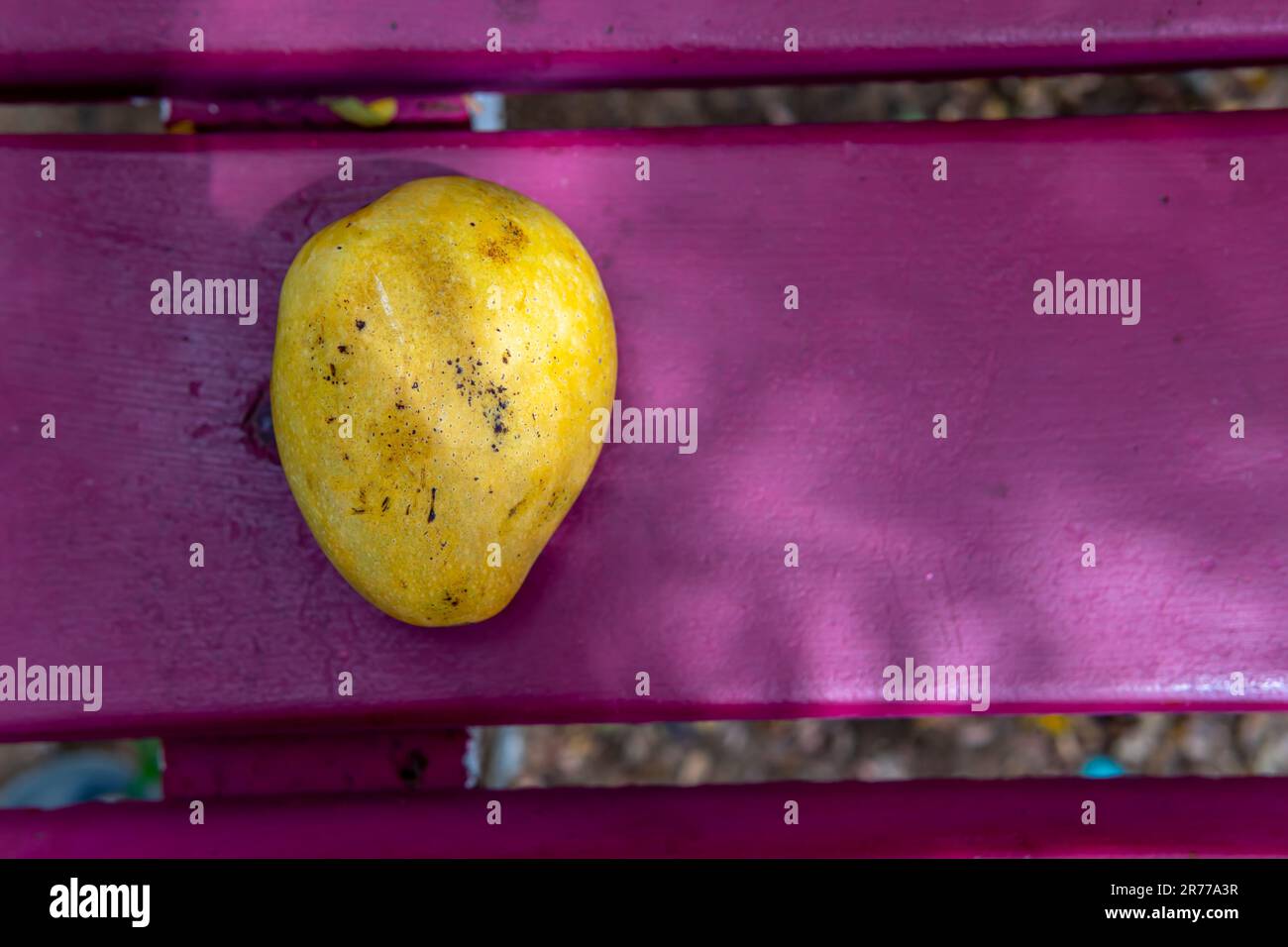 Salem famous fruit hi-res stock photography and images - Alamy Salem famous fruit hi-res stock photography and images - Alamy