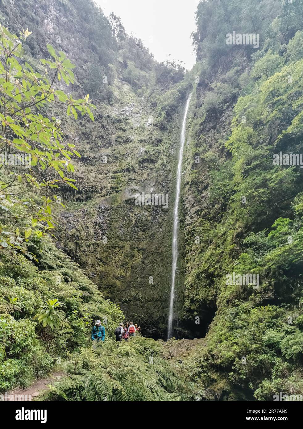 Madeira Island Portugal - 04 19 2023: View of the Caldeirão Verde waterfall, a natural waterfall, in the middle of the laurissilva forest, typical and Stock Photo