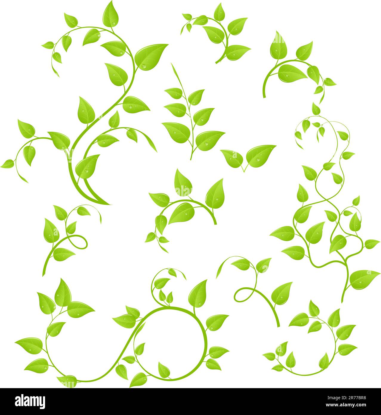 Sapling Vector Set of various green plants, young saplings. Vector illustration ...