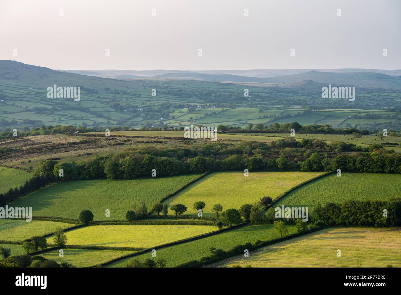 Morning light falls on farmland fileds around the Tavy Valley under the moors and tors of Dartmoor in Devon. Stock Photo