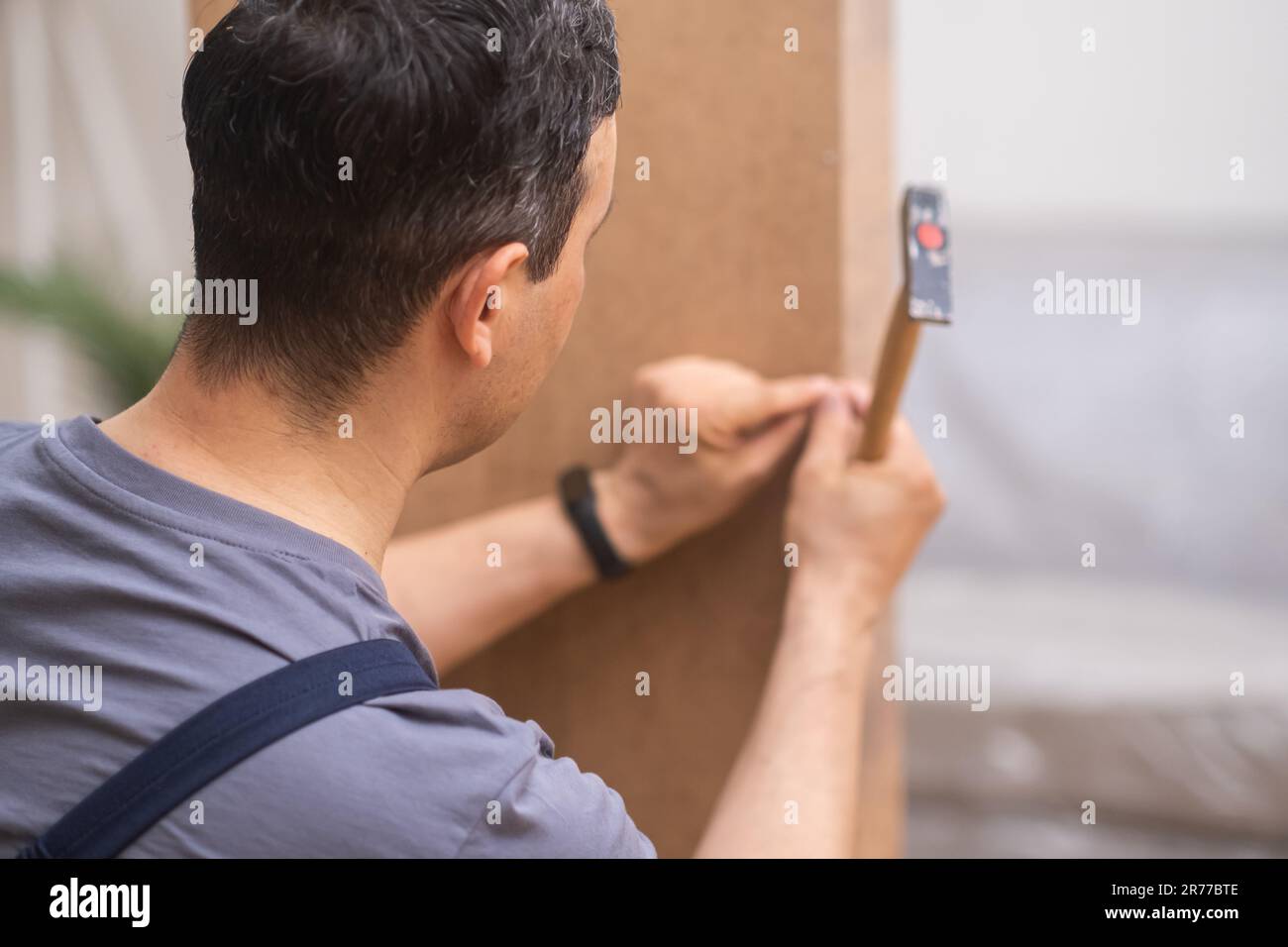 Custom furniture assembly master hammering nails into wooden panel ...