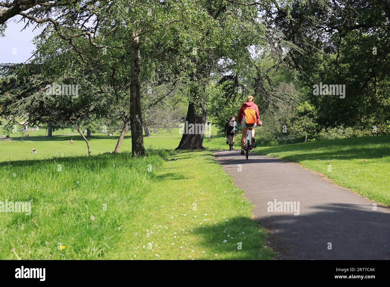 Lovely Springfield Park, in Upper Clapton, in the London Borough of Hackney, UK Stock Photo