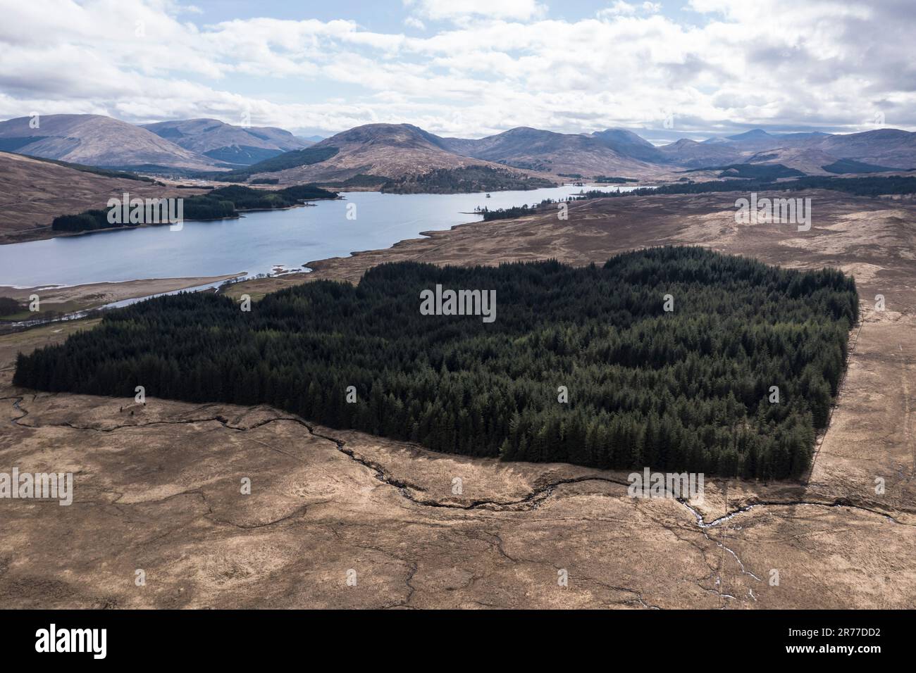 View from Tulla viewpoint over lake Loch Tulla and reforested forest, scottish highlands, Scotland, UK Stock Photo