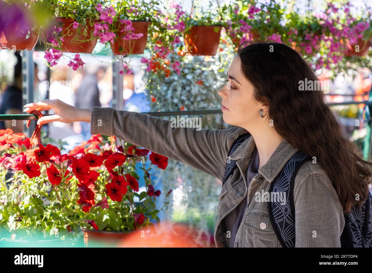 Side view of young Caucasian woman choices pot with blooming plant. Florist chooses plants. Flower festival. Stock Photo