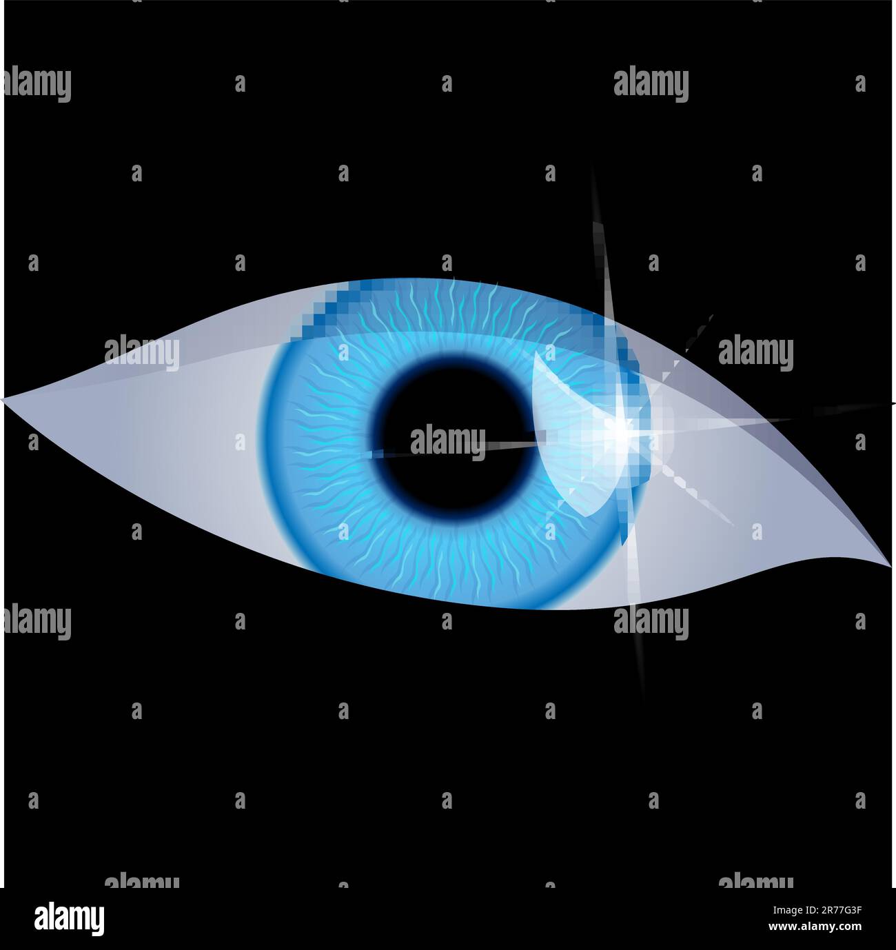 Human eye isolated on a black background. Vector illustration Stock ...