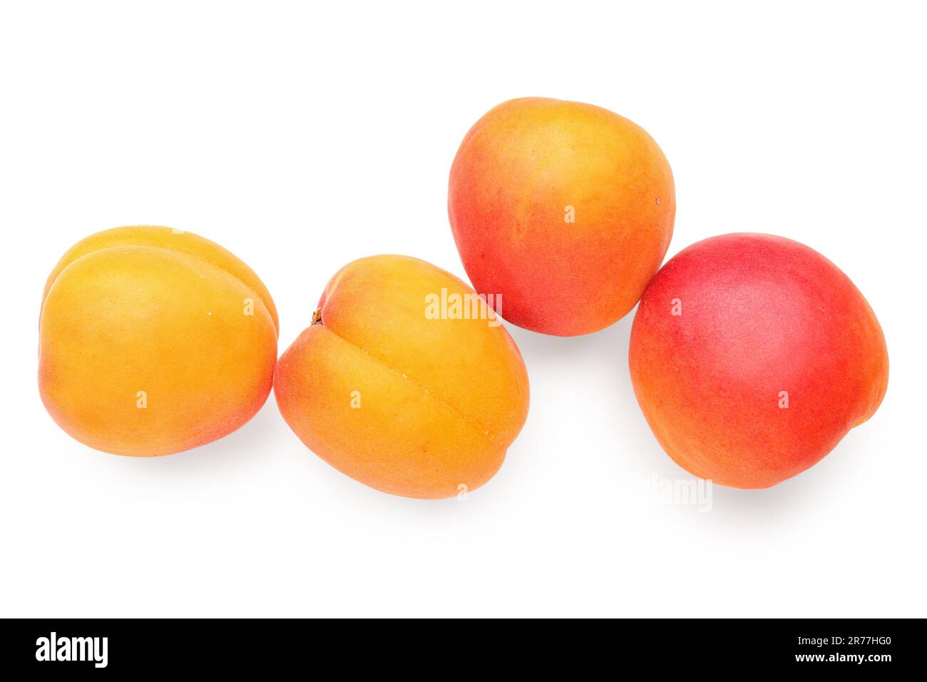 Ripe apricots isolated on white background Stock Photo - Alamy