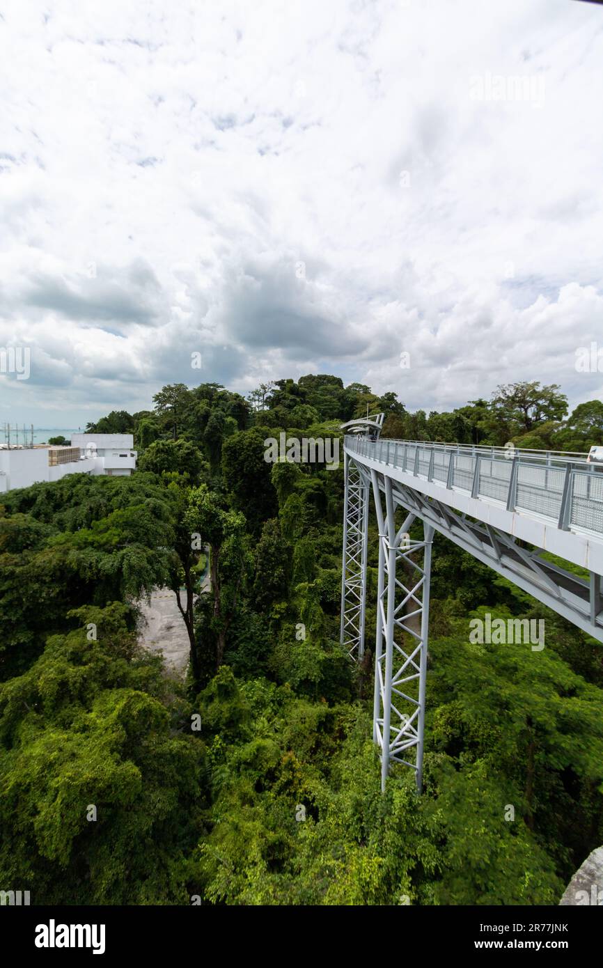 Treetop walk in Sentosa island, Singapore Stock Photo - Alamy