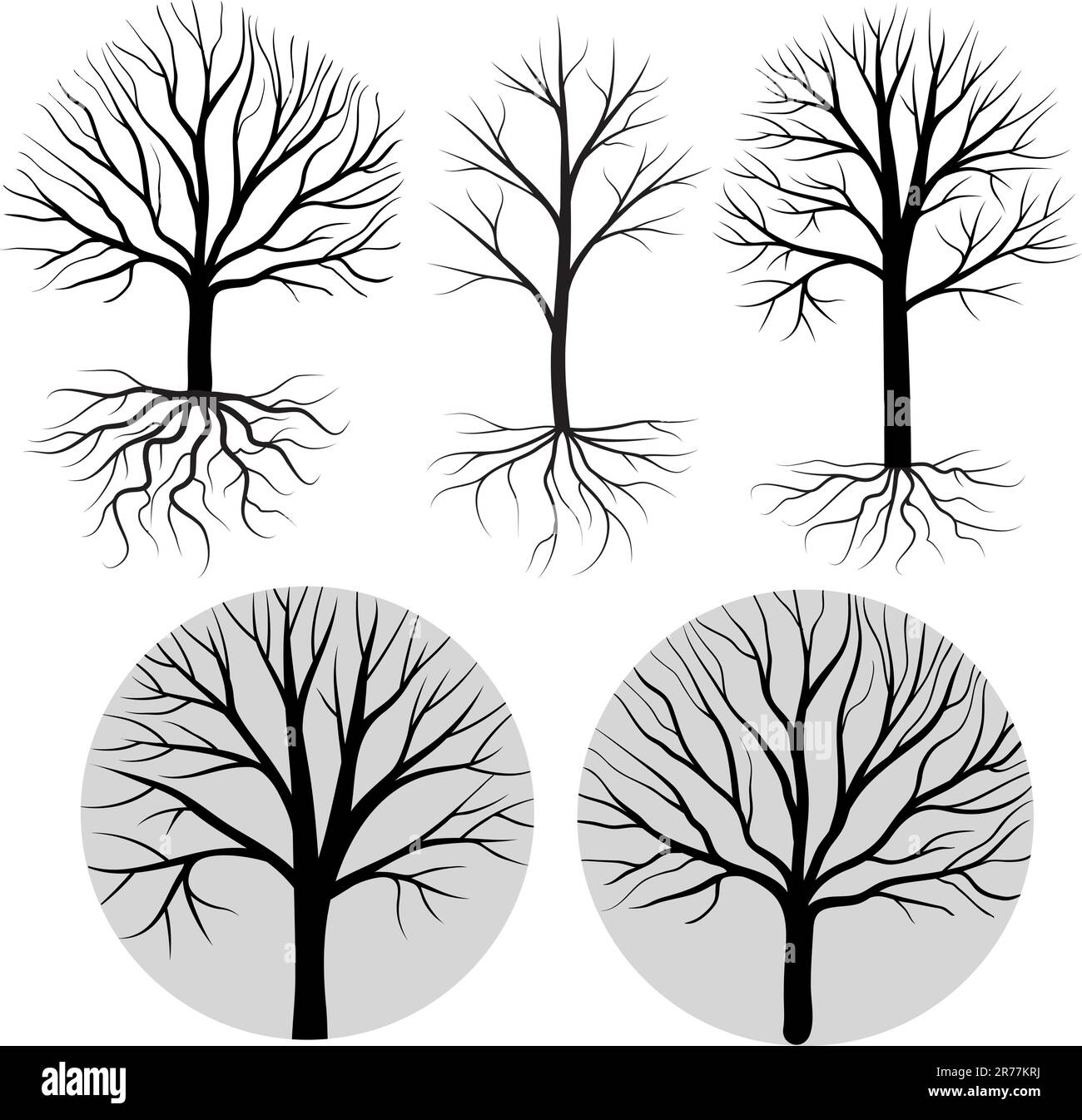 Olive tree silhouette Black and White Stock Photos & Images Alamy