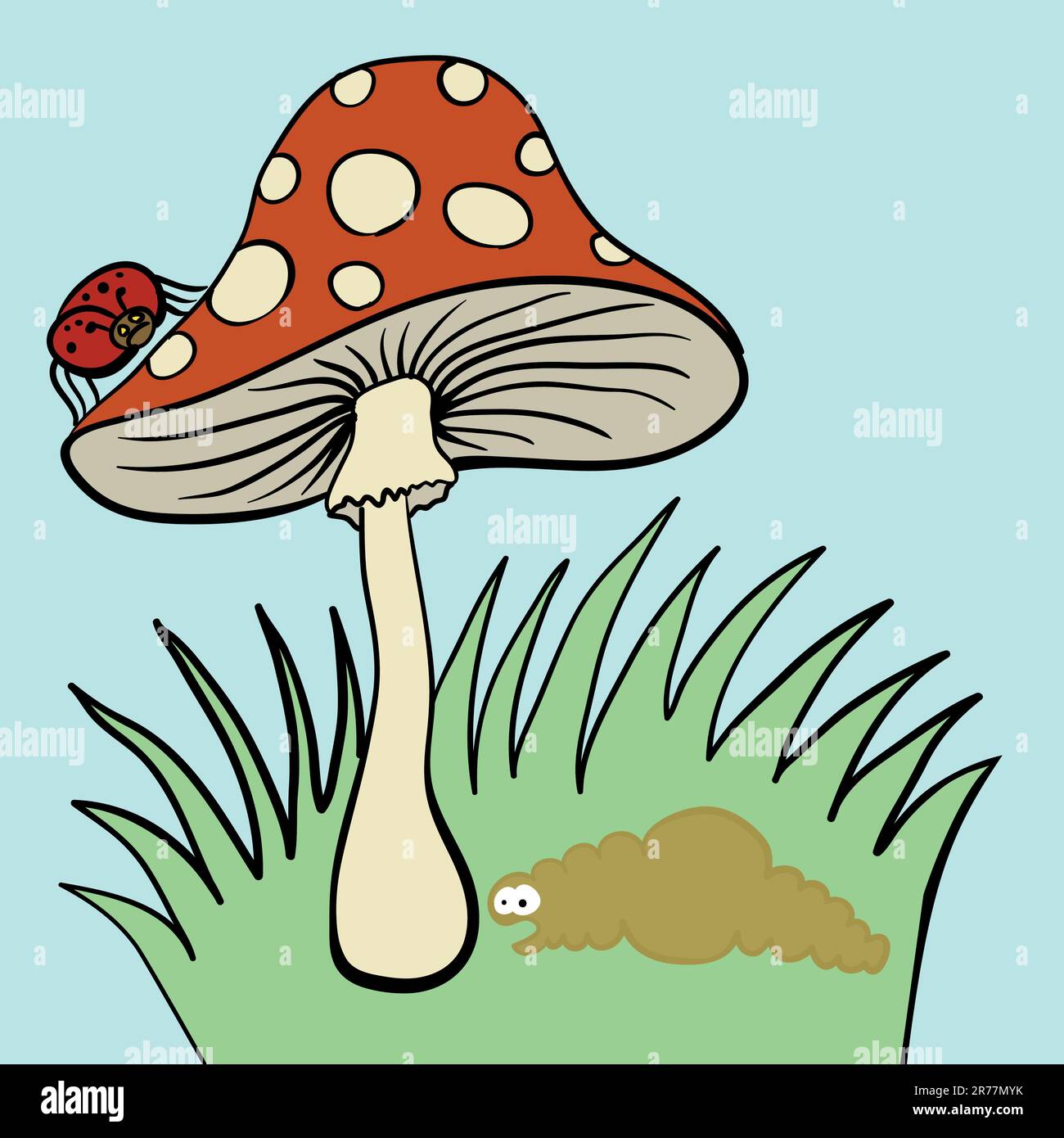 amanita-stock-vector-images-alamy