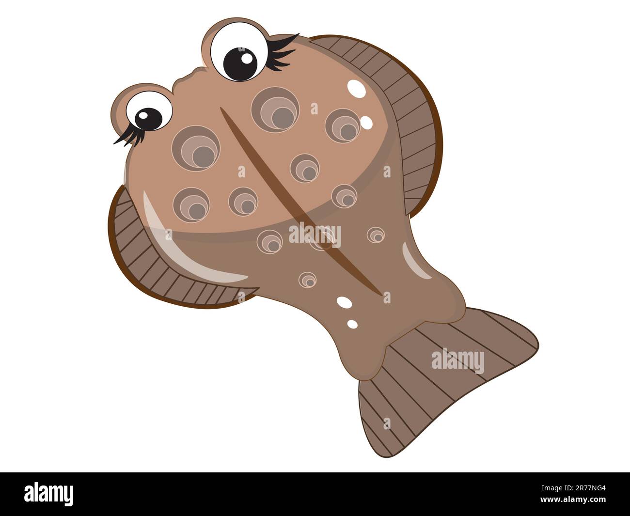 Flounder fish Stock Vector Images Alamy