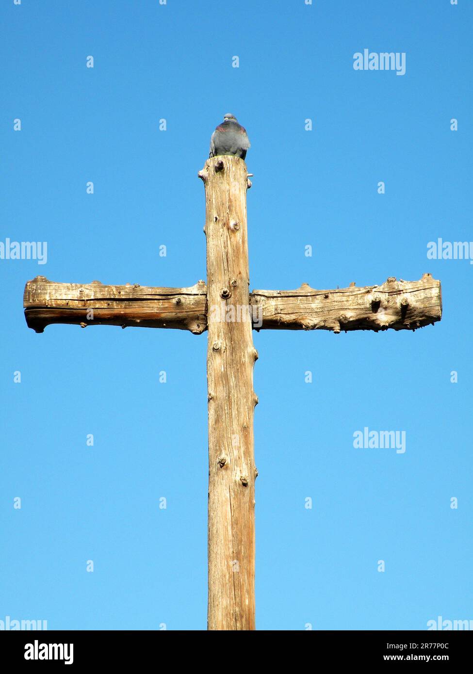 Dove on wooden cross Stock Photo