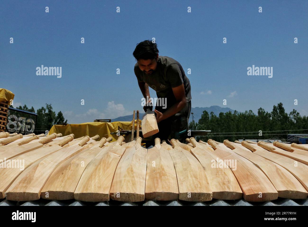 June 12, 2023, Srinagar Kashmir, India : A labourer checks raw GR8 cricket bats at a manufacturing unit in Sangam, some 38 kilometers south of Srinagar. Kashmir's bat manufacturers have received an order for bats to be used during the 2023 One Day International (ODI) World Cup; they even earlier have had an order for 10 bats for the Twenty20 (T20) World Cup in 2022. Only two types of bats are used in cricket around the world - English Willow and Kashmiri Willow - and while the prices of English Willow are many times higher than those made of Kashmir Willow and are more often used by players, t Stock Photo