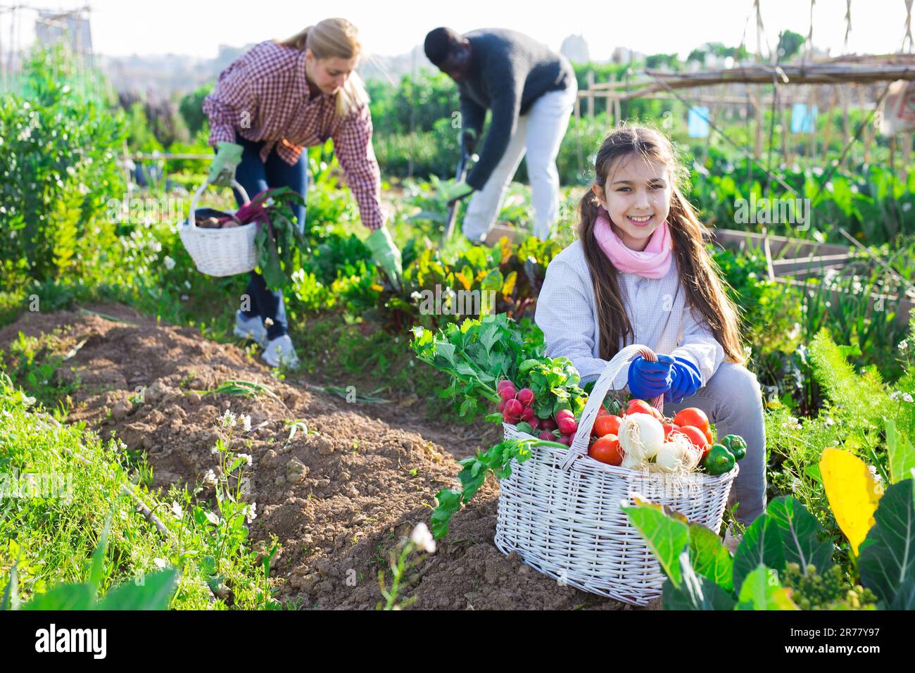 Teenage farmer girl posing with gathered vegetables Stock Photo - Alamy