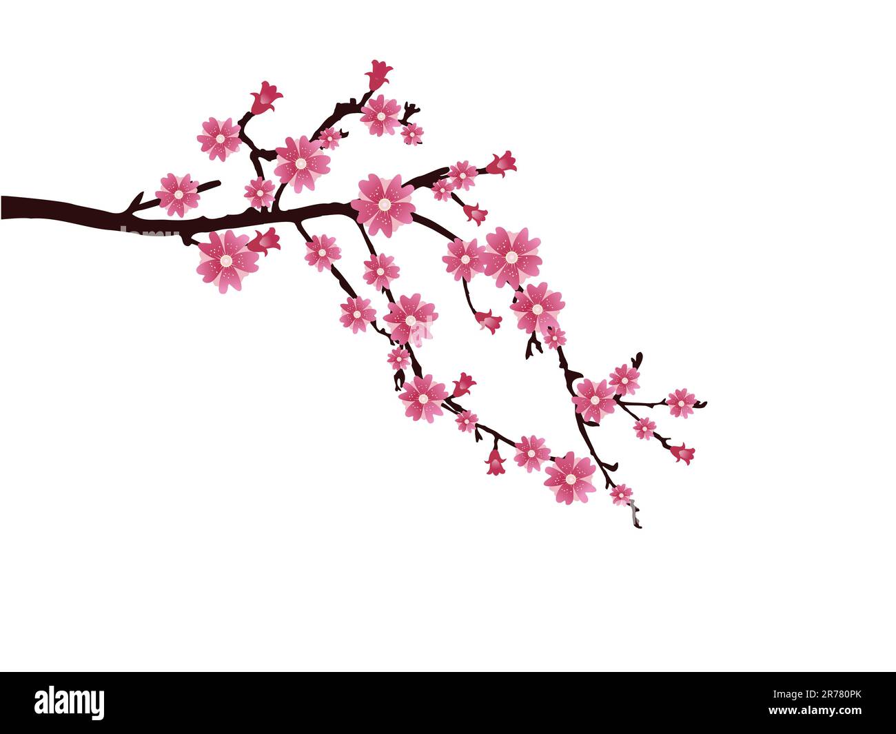 vector eps 10 illustration of a branch with cherry blossom Stock Vector ...