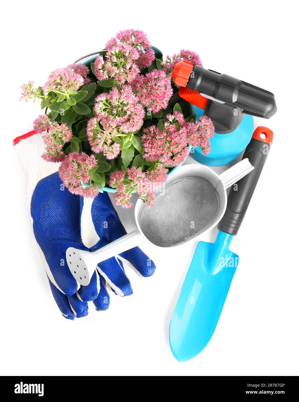 Watering can with flowers and gardening tools on white background Stock ...