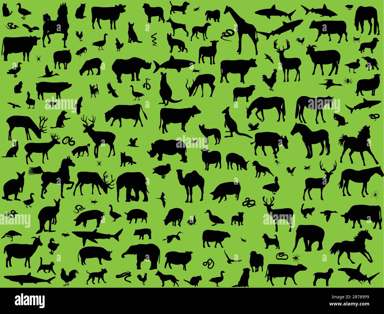 big collection of mix animals vector Stock Vector Image & Art Alamy