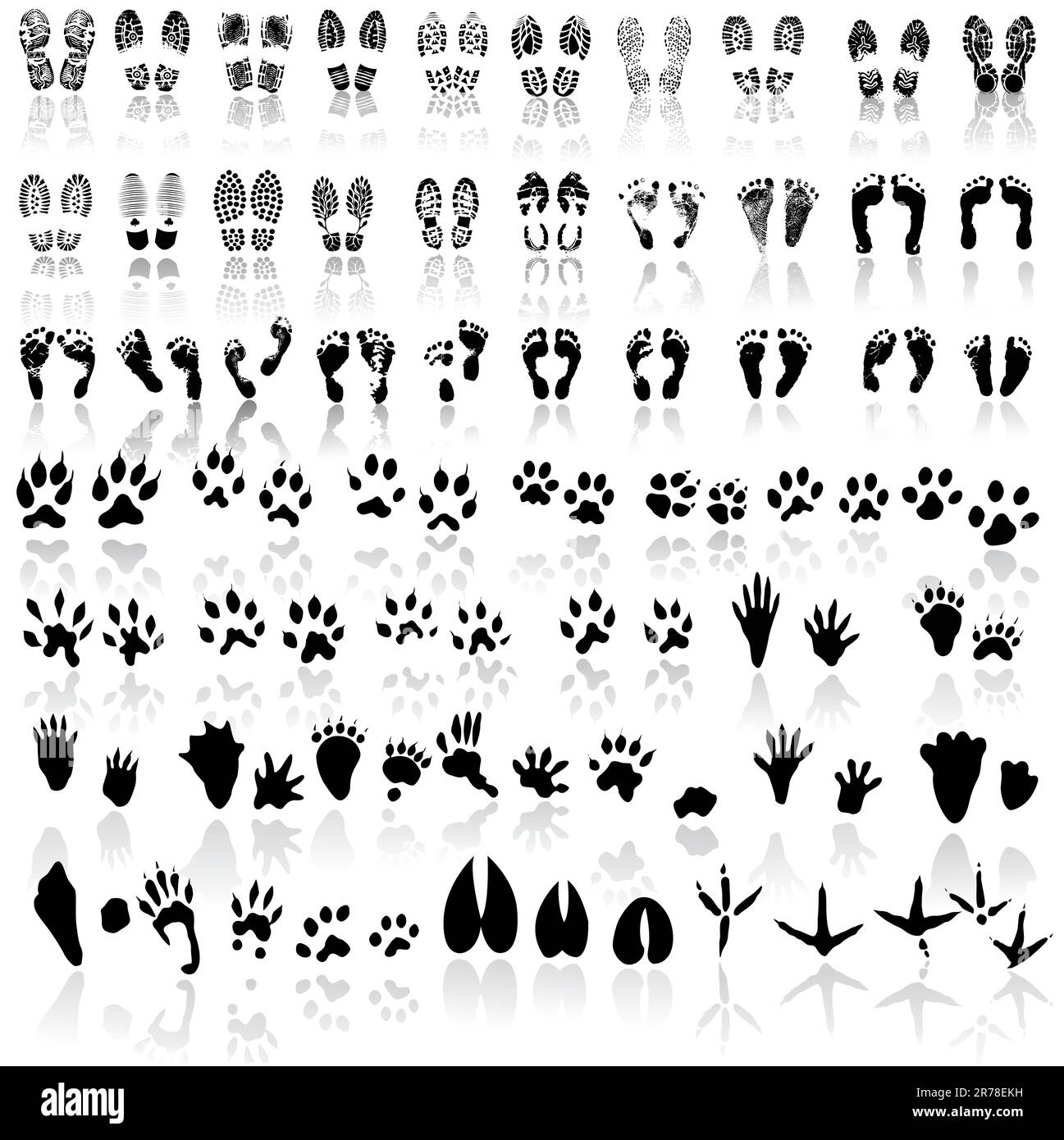 Collection of shoe print, footprint, animal and bird trails Stock Vector