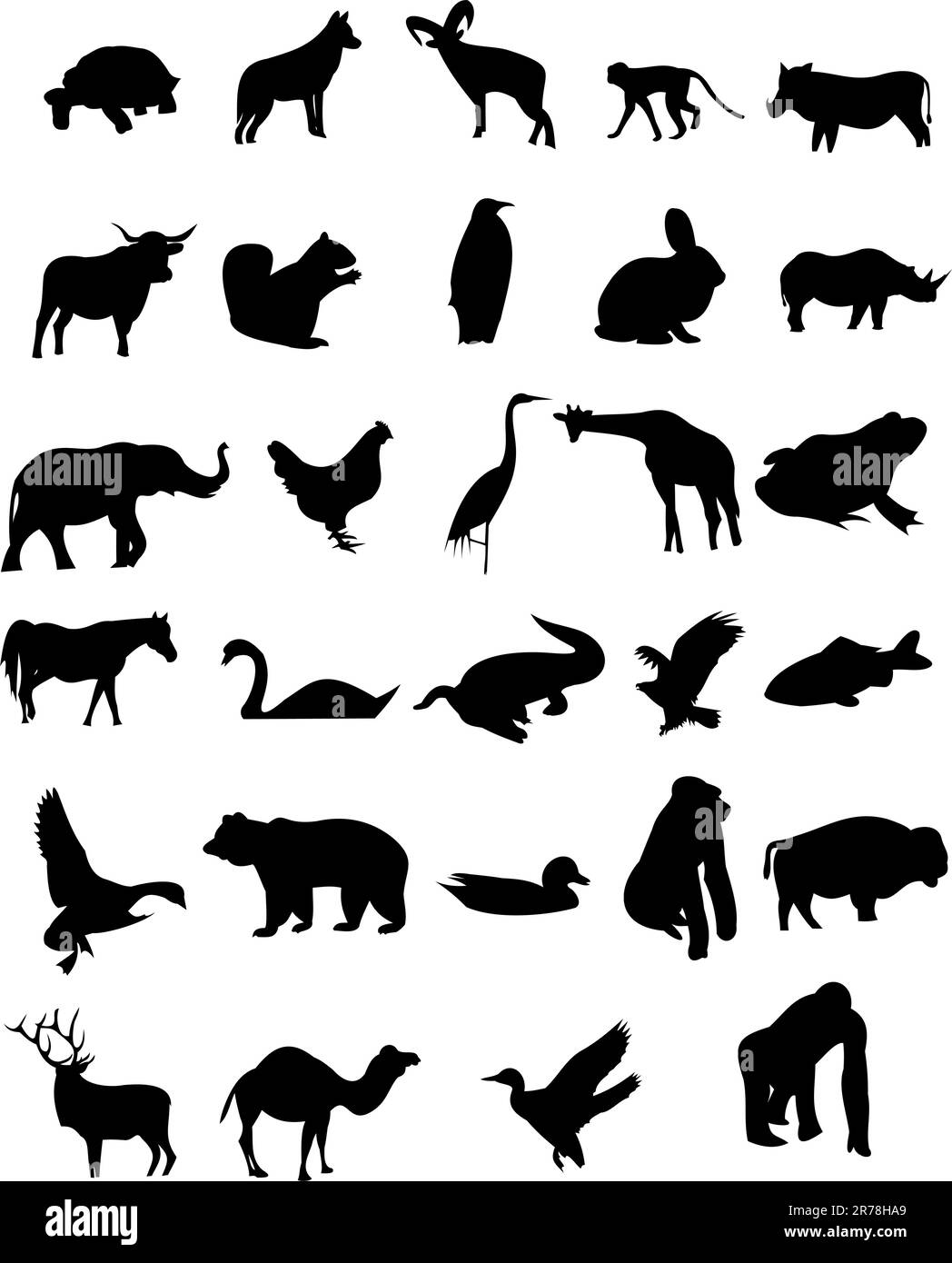 Wild animals. Birds and animals. A set of animals Stock Vector Image