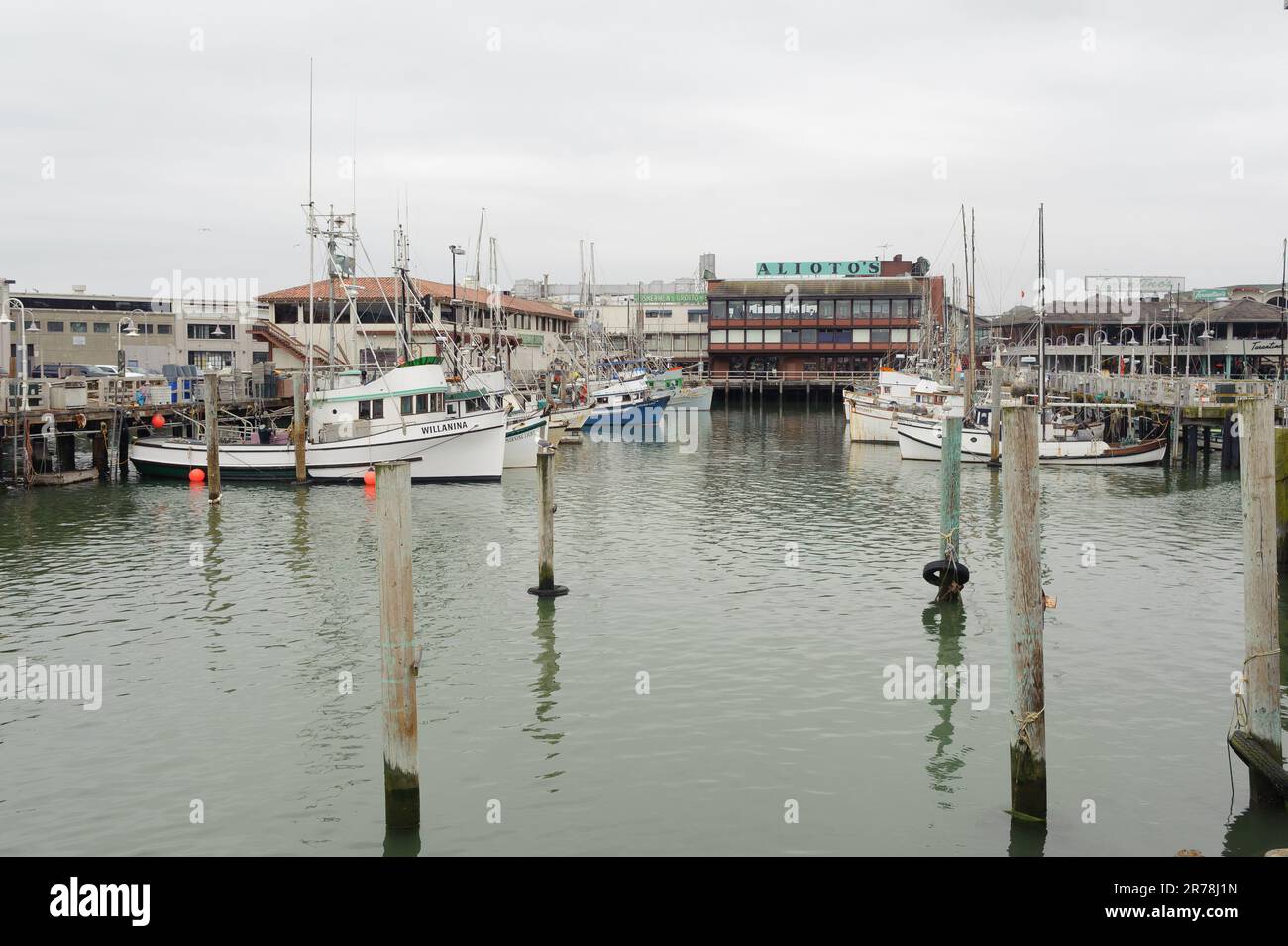 Fleet of Small Fishing Boats Around Pier 39, Fisherman's Wharf