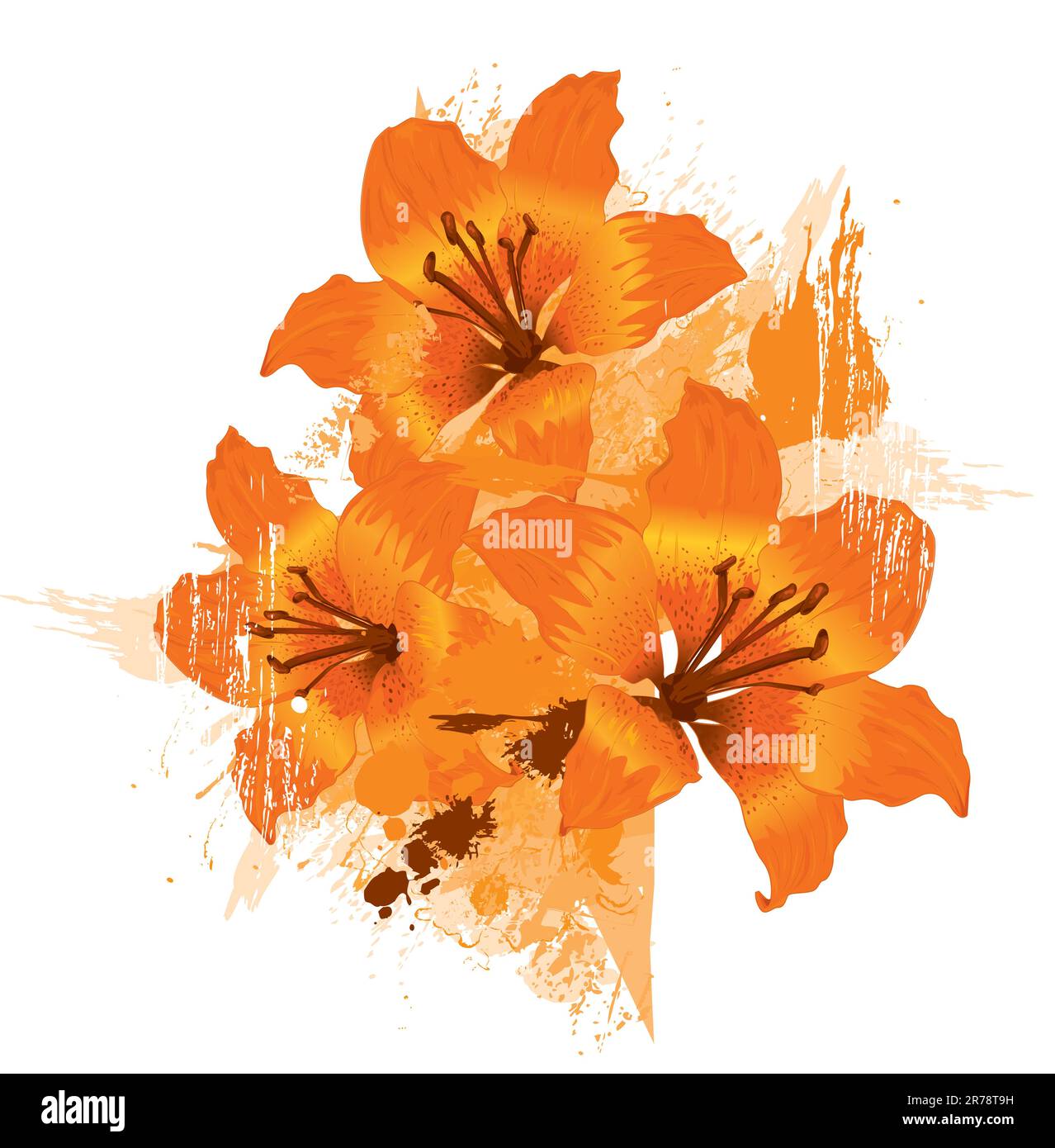 Orange and yellow lily Stock Vector Images - Alamy