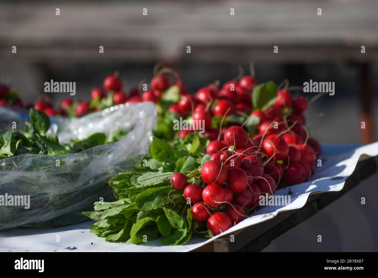 Radishes. Dolac Market. Zagreb, Croatia Stock Photo