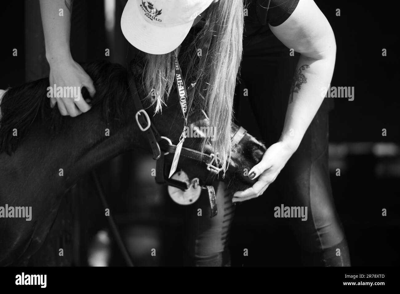 Mini diva Black and White Stock Photos & Images Alamy